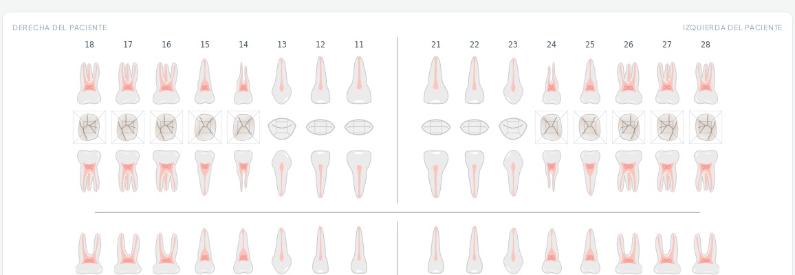 Odontograma con las piezas dentales